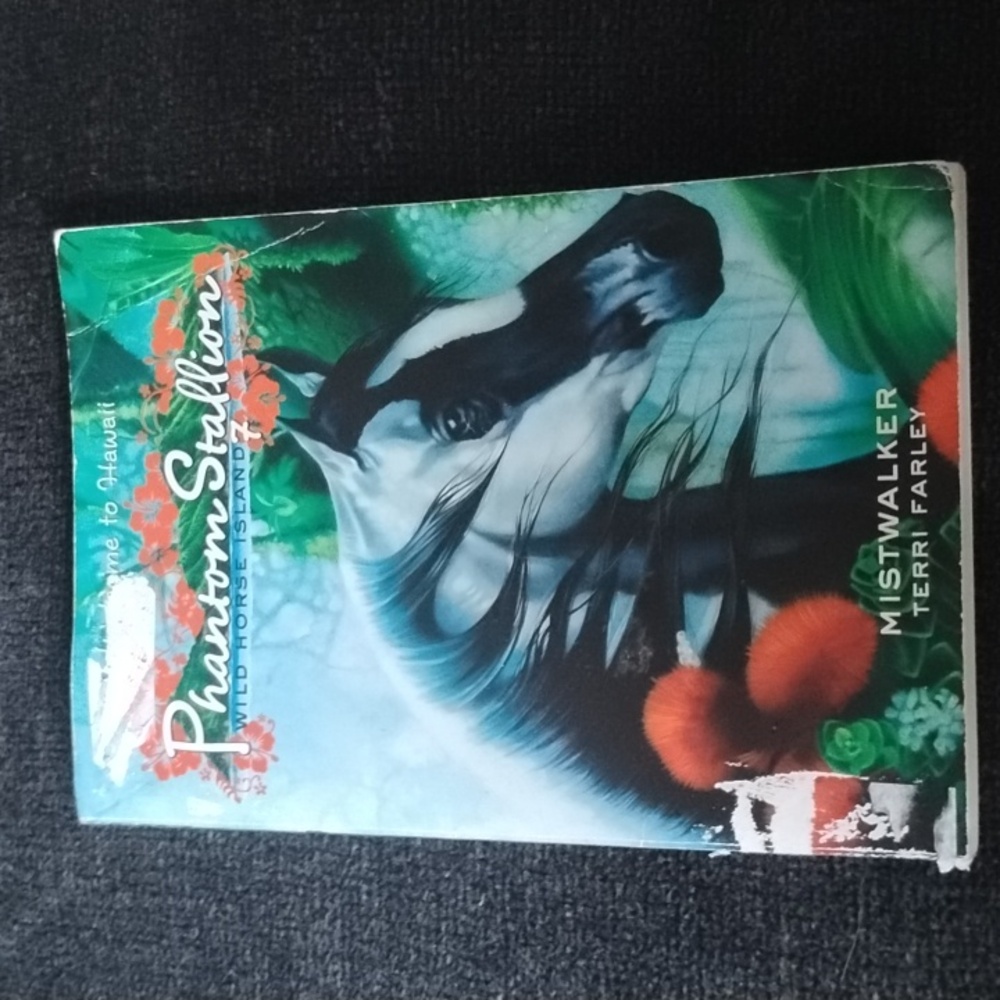 Phantom Stallion: Wild Horse Island No. 7 Mistwalker by Terri Farley - Paperback